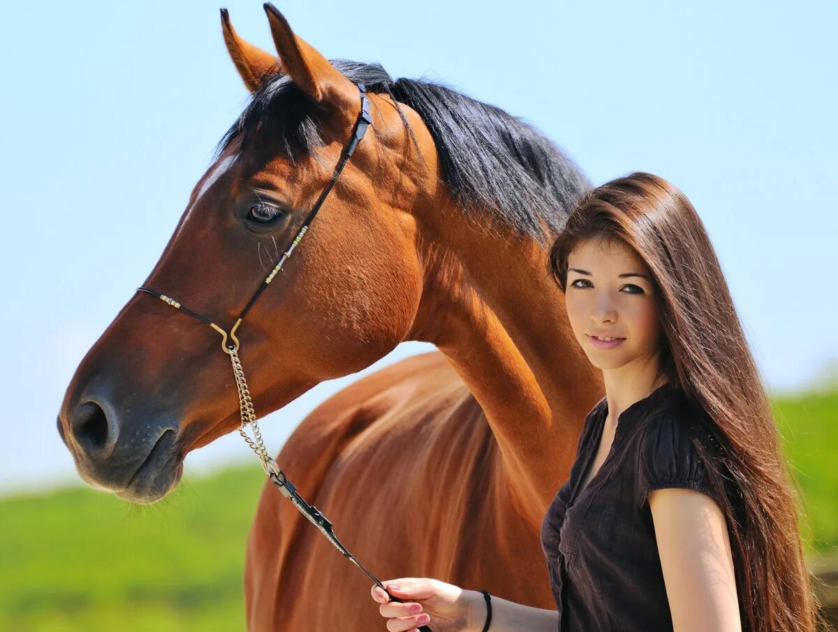 Учительница кони. Фотосессия с лошадьми. Девушка с лошадью. Человек на лошади.