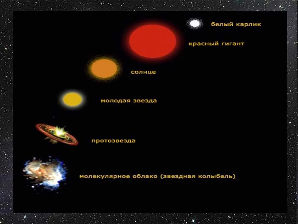 1 этап звезда. Стадии развития звезды. Важнейшие закономерности в мире звезд Эволюция звезд кратко. Этапы эволюции звезд. Опишите эволюцию звезд.