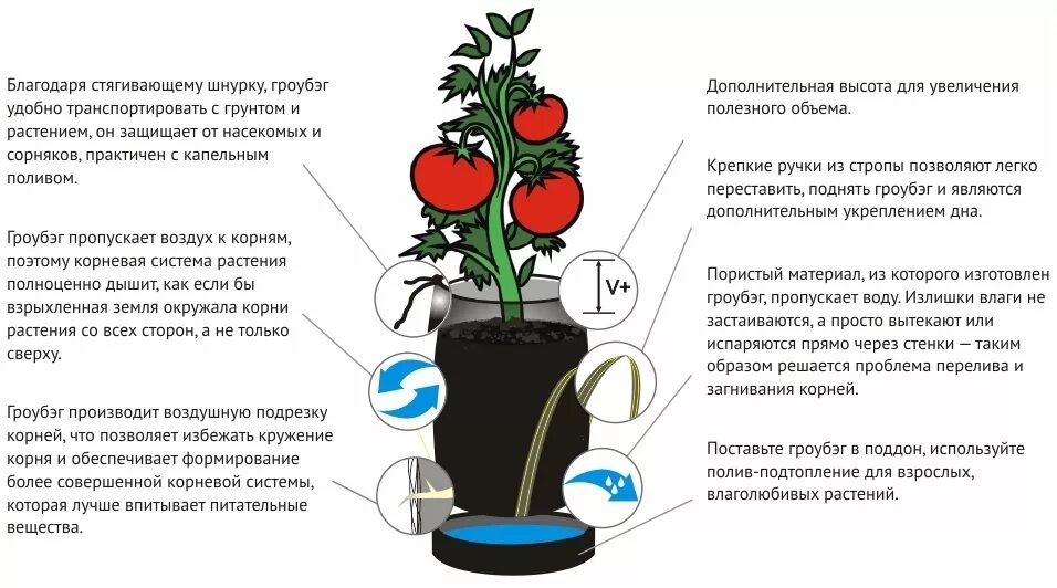 Подача воздуха к корням растений. Как усилить доступ воздуха к корням. Мешок для корневой системы. Корневая система в горшке мешке.