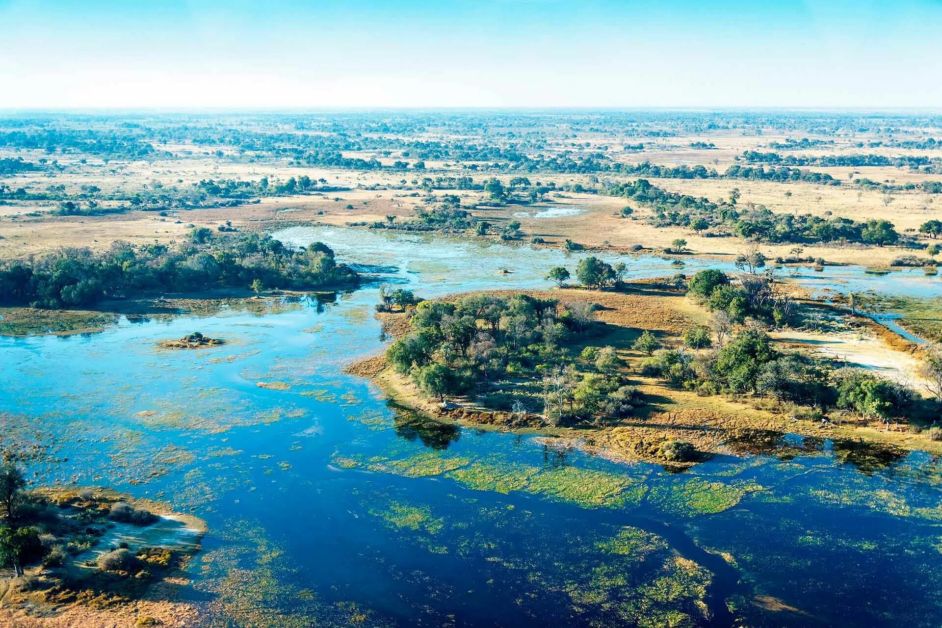 Река на юге страны. Дельта реки Окаванго в Ботсване. Ботсвана болото Окаванго. Дельта реки Окаванго сафари. Река Окаванго в Калахари.