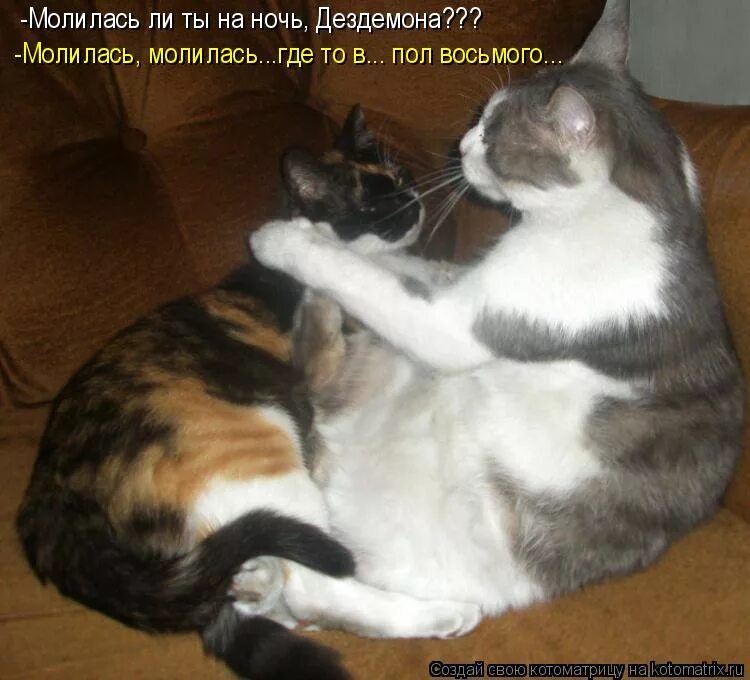 молилась ли ты на ночь дездемона прикол. молись дездемона. молилась ли ты на ночь. молилась ли ты на ночь откуда. ты молился на ночь.