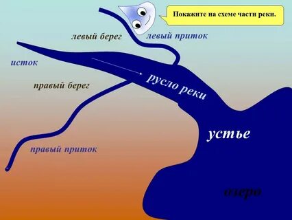 Устье приток исток русла