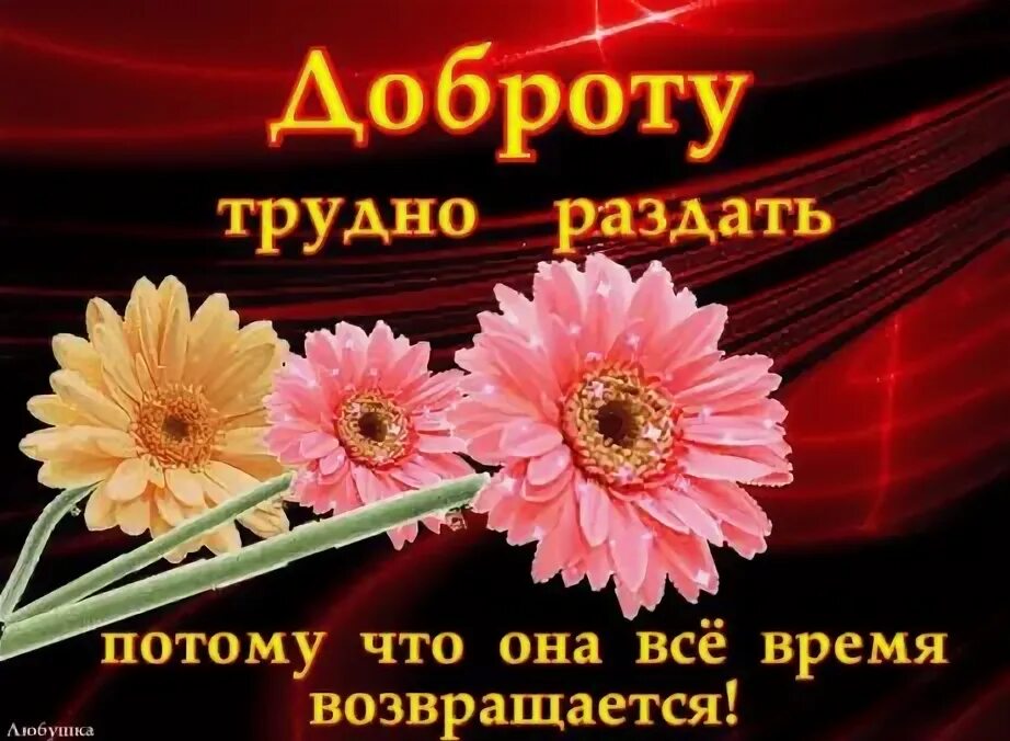 Добро которое возвращается. Доброту трудно раздать. доброту трудно раздать потому что она возвращается. доброту трудно раздать потому что она возвращается картинка. добро невозможно раздать.