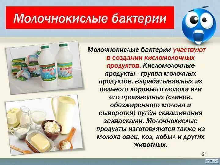 Содержат живые бактерии. Бактерии кисломолочных продуктов. Бактерии в кисломолочных продуктах. Микроорганизмы в кисломолочных продуктах. Молочнокислые микроорганизмы в кисломолочных продуктах.