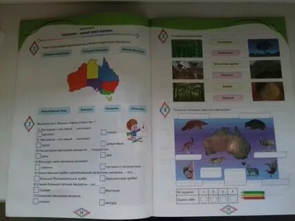 Окружающий мир с увлечением