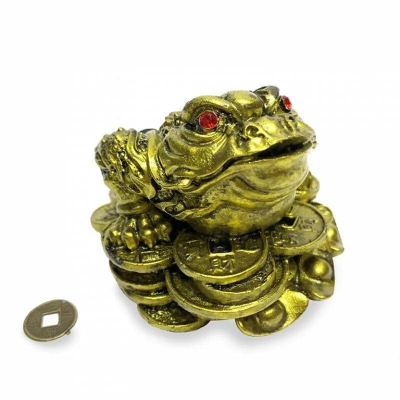 правильно расположить лягушку. обыкновенная болотная лягушка.