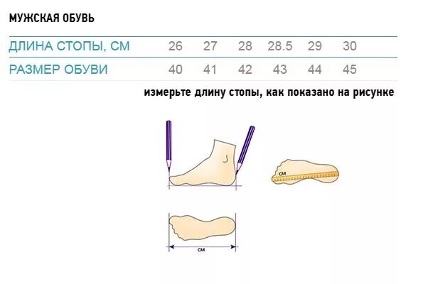 Размер стопы 24.5. Размер обуви 26 длина стопы. Размер обуви длина стопы 26 см. Размер обуви по длине стопы 23,5см. Размер обуви стопа 24 см.