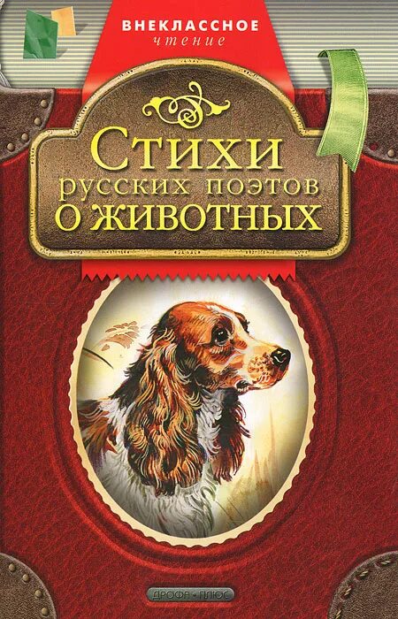 Русский в стихах книги