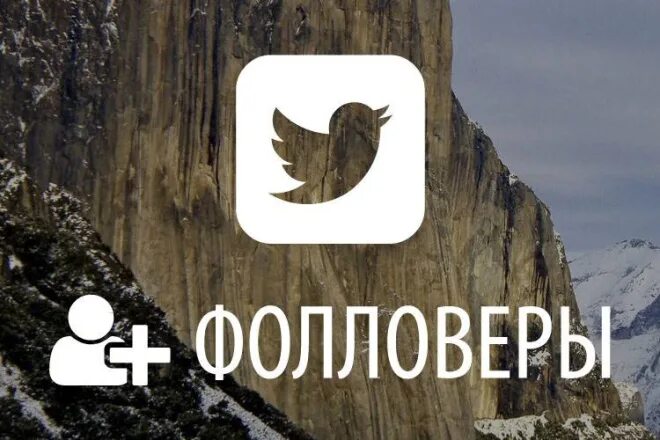 Фолловеры. Кто такой фолловер. +500 twitter фолловеры. фолловеры кто это такие простыми словами.