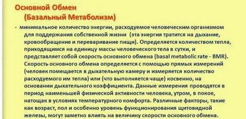 Энергия основного обмена
