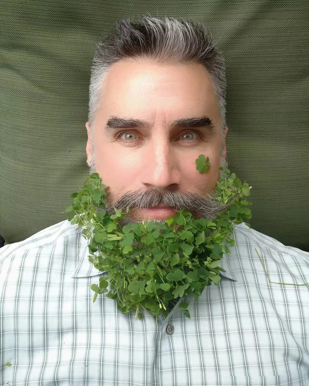 Украшают мужика. Растительность на лице у мужчин. Борода. Смешная борода. Брутальный мужчина.