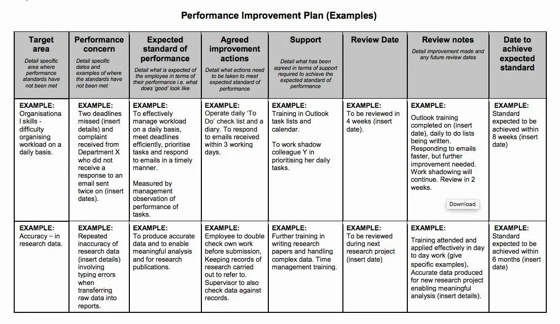 Перфоманс Импрувмент план это. Перфоманс импровемент план. Improvement Plan. Project Plan example.