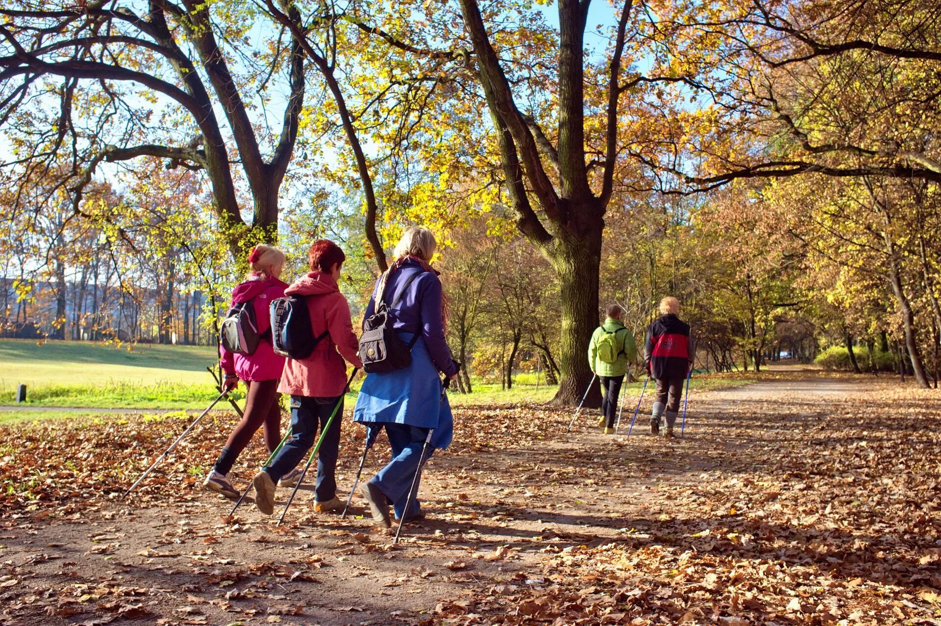 She s in the park. Люди в парке. Прогулка по парку. Прогулка в парке. Парк с людьми.