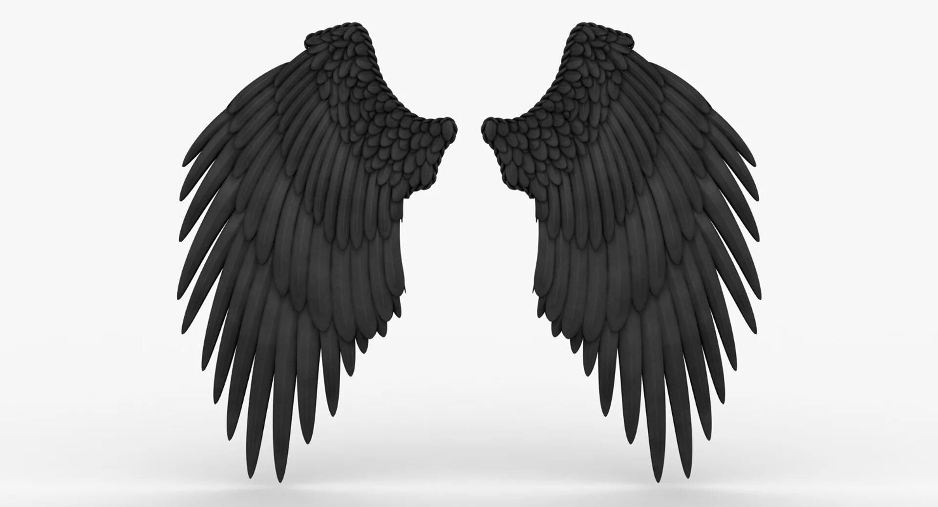 Черные Крылья. Крылья ангела черные. Белые Крылья на черном фоне. Крылья на черном фоне