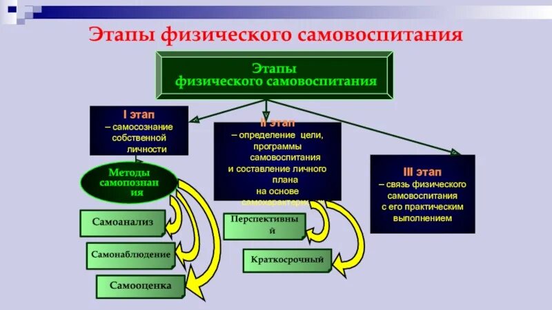 Этапы зависимости пав. Фазы физической работы. График восстановления работоспособности. Фазы физической работы. Фазы физической работы.
