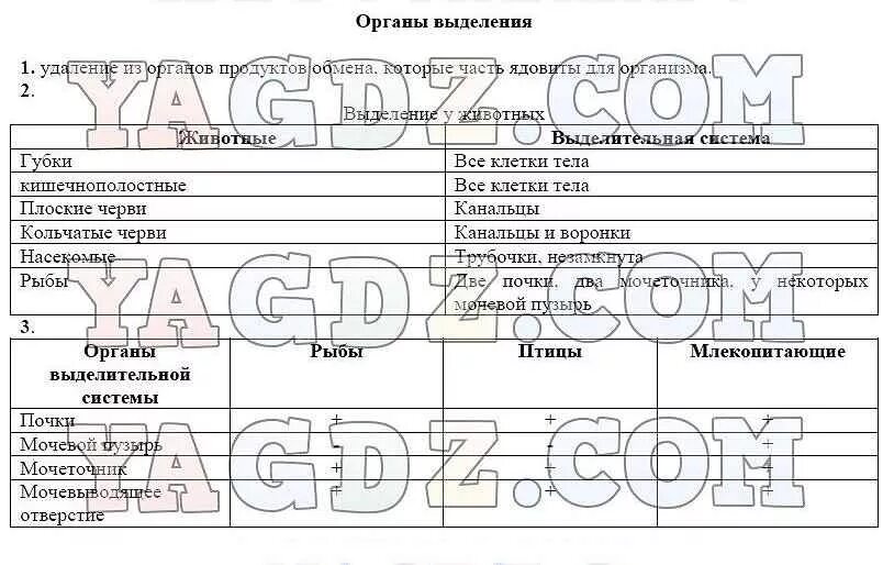 Органы чувств регуляция деятельности организма 7 класс биология. Таблица органы чувств 7 класс биология. Органы чувств животных таблица. Изучение органов чувств у животных таблица.