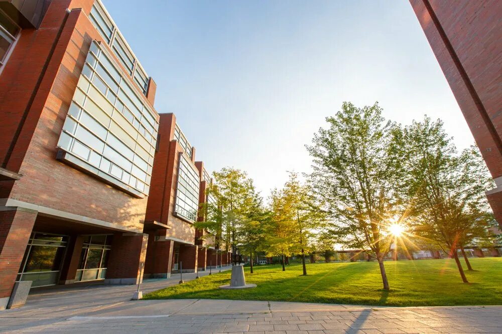 Tech university. Университет онтарио. университете кингстона в онтарио. ontario tech. универ в канаде в лесу.