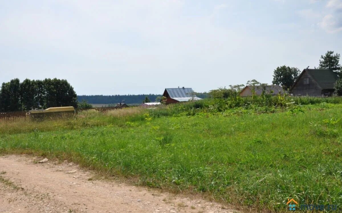 Орешки рузский. Московская область, рузский городской округ д. Орешки. Орешки руза. Орешек садовое товарищество.