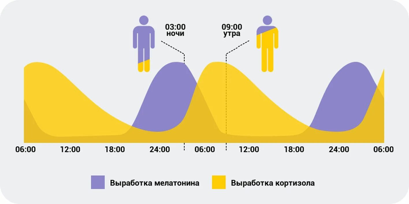 Что влияет на выработку. График выработки мелатонина и кортизола. График пробуждения мелатонин и кортизол. Мелатонин график выработки. Выработка мелатонина и кортизола.