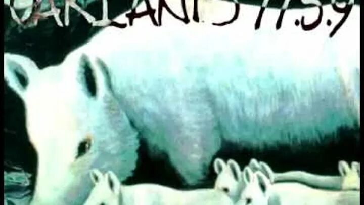 Rare full
