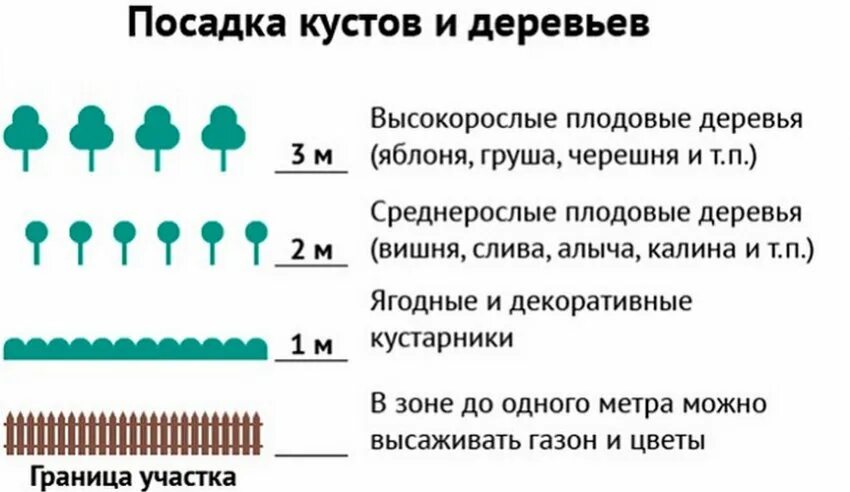 На каком расстоянии можно посадить. Расстояние посадки плодовых деревьев от забора. Нормы посадки деревьев и кустарников от забора. Нормы посадки яблонь от забора. СНИП по посадке деревьев от забора соседей нормативы.