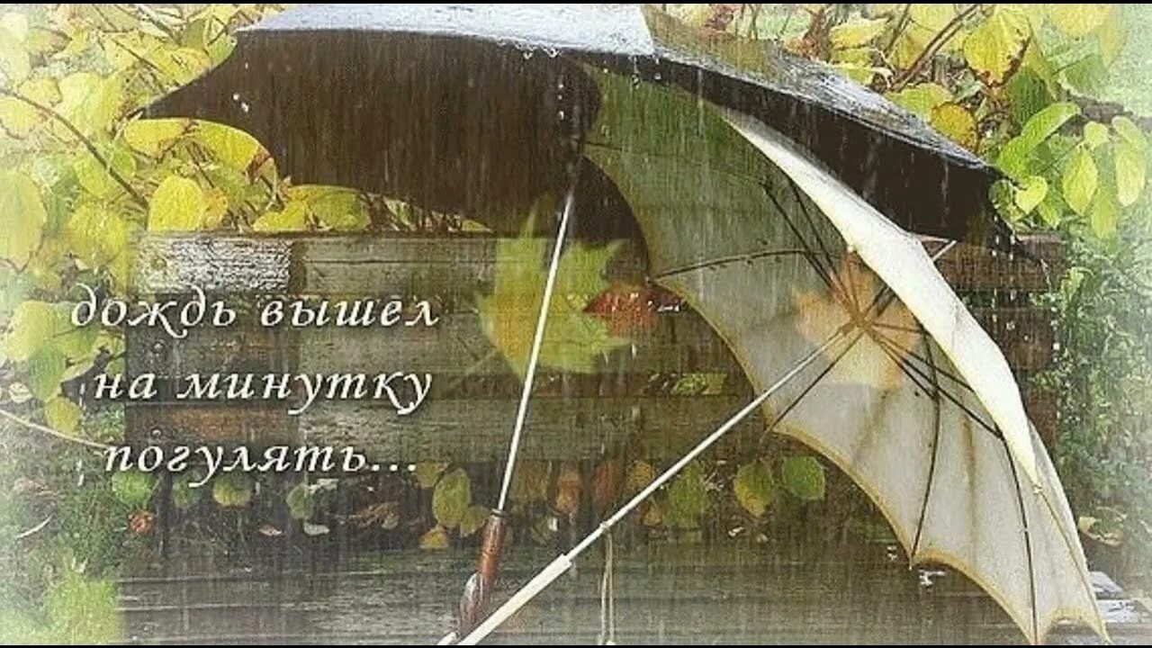 Доброе утро несмотря на дождь. Хорошего настроения в дождливую осень. открытки с добрым дождливым утром. хорошего настроения в дождь. хорошего настроения в држдливую погодка.