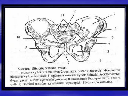 Жалаңаш жаңалықтар порно видео