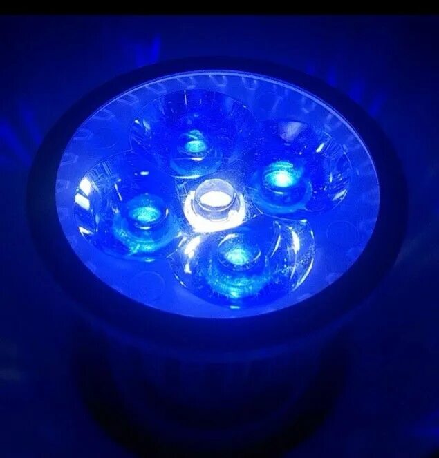 Синий светодиодный купить. Лампа светодіодні е14 для аквариума е14. Лампа е14 для аквариума диодная. Светодиодные лампы е27 для аквариума. Светодиодная лампа спектральная для аквариума е 27.
