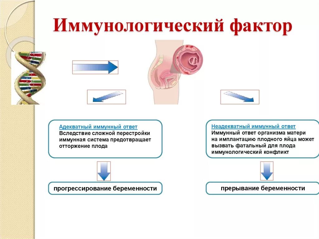 Иммунологические причины невынашивания. Иммунобиологические факторы иммунитета. Иммунологические причины невынашивания беременности. Иммунологические причины. Иммунное бесплодие