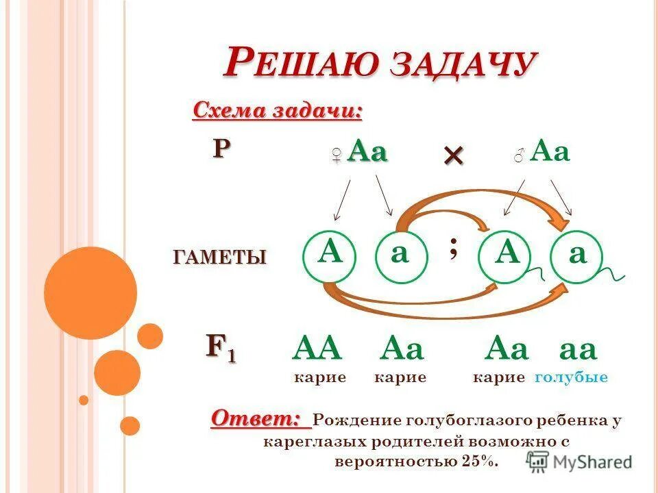 Задача по биологии на цвет глаз. Задача про глаза по биологии. Кареглазый и голубоглазый родитель. У кареглазых родителей.