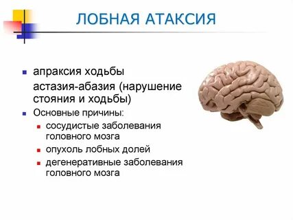 Список мозгового