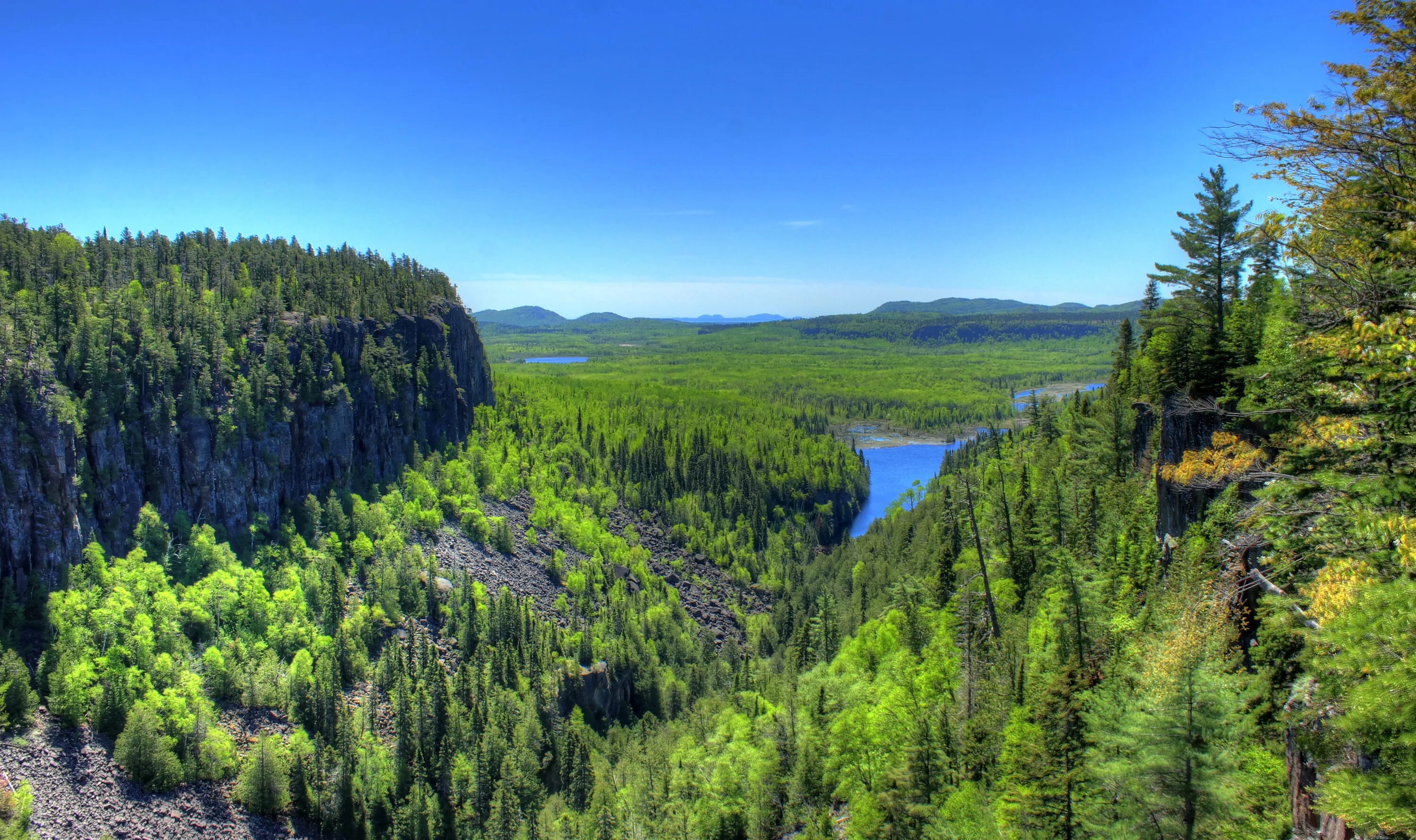 Бореальные леса Северной Америки. Canada Лесные ресурсы. Лесные ресурсы Северной Америки. Бореальский лес Канада. Природные ресурсы лесных зон россии