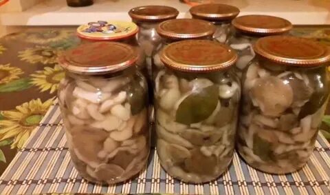 Можно ли закатывать грибы железной крышкой