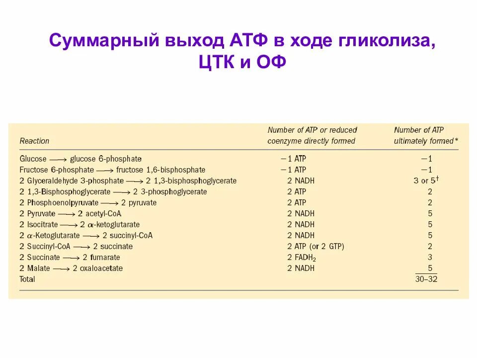 Сколько атф образуется в результате гликолиза. Выход АТФ при анаэробном гликолизе. Анаэробный гликолиз количество АТФ. Выход АТФ В ЦТК. Суммарный выход гликолиза.