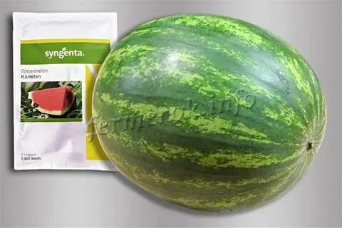 Характеристика сорт каристан