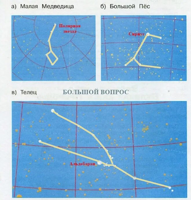 Полярная звезда Созвездие. Малая Медведица и большой пес. Полярная звезда в созвездии большого пса. Малая Медведица большой пес и Телец. Соединить большую медведицу