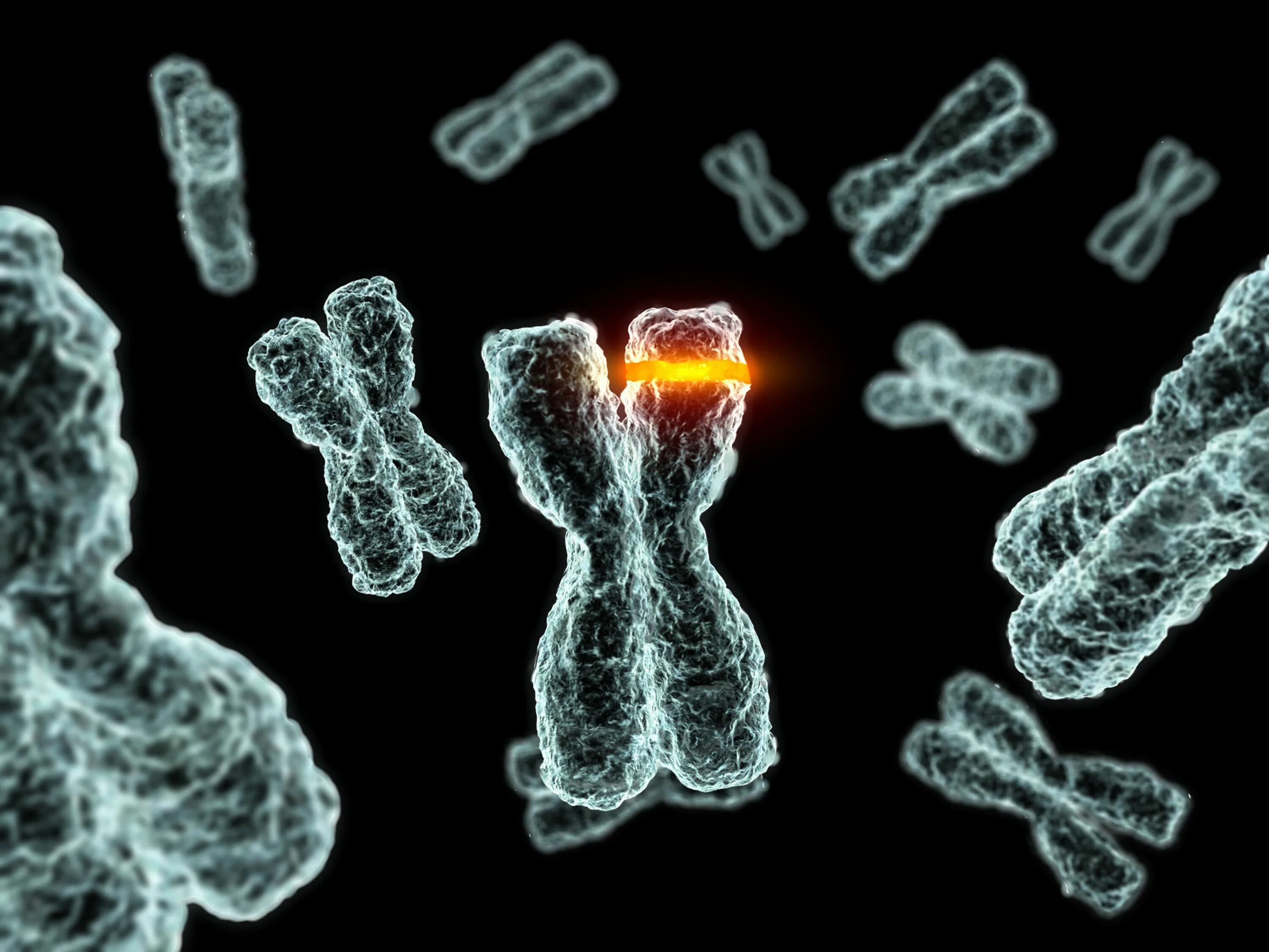 Удвоение хромосом какая мутация. Генетика хромосомы мутации. Мутация ДНК. Радиационная генетика. Мутация в гене.