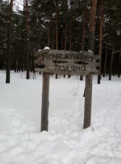 За саймой сургут