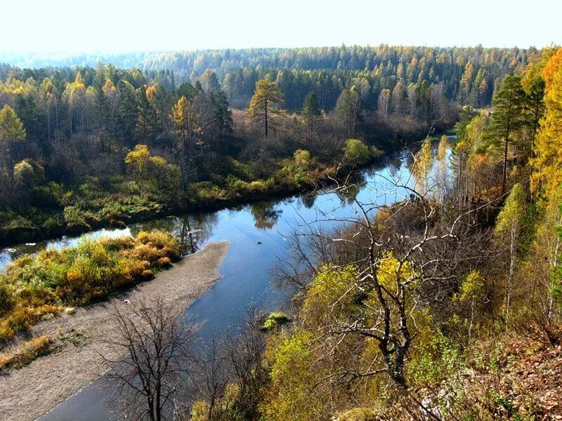 Какая природа в свердловской области. Висимский заповедник. Кедровник Висимский заповедник. Висимский заповедник Кировград. Висимский биосферный заповедник Свердловской области.