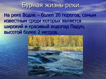 Река жизнь почему