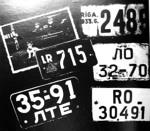 первые номерные знаки