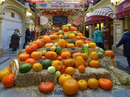 Тыквы москве