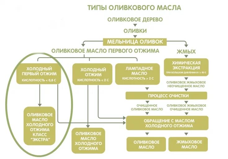 Классы оливкового масла. Классификация оливкового масла. Структура оливкового масла. Классификация оливкового масла таблица. Классификация оливкового масла схема.