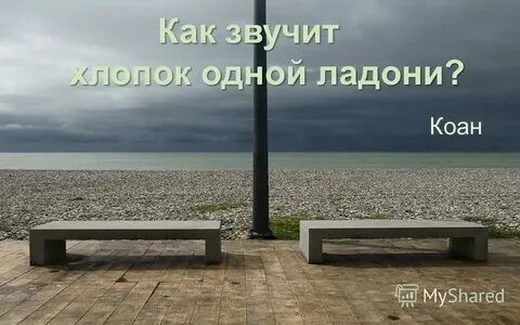 Больше так не буду на дзен рассказ