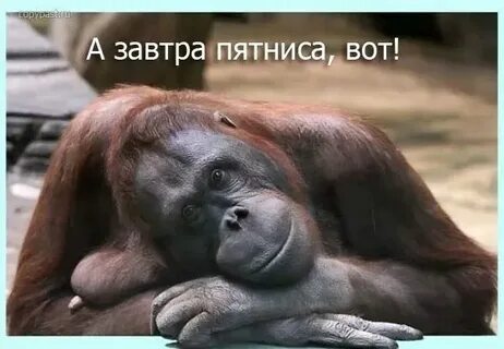Ну что сидишь ну сиди сиди