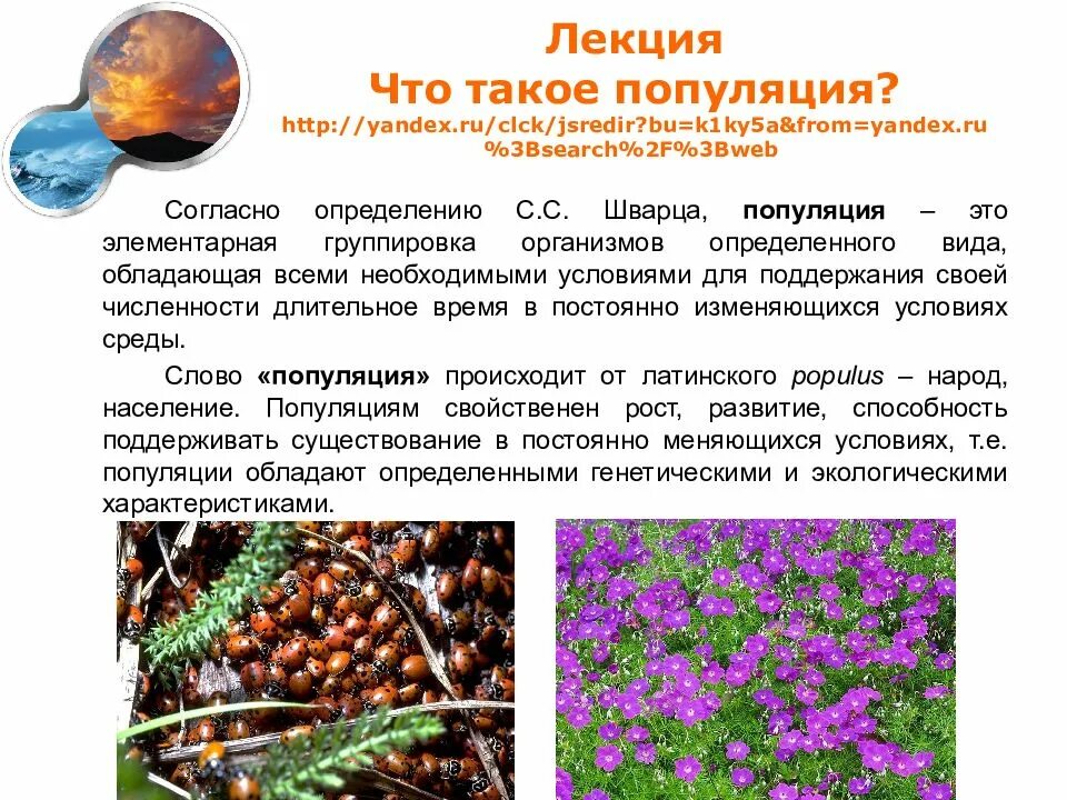 Компоненты популяции. Презентация на тему популяция. Параметры популяции в биологии. Экологическая популяция. Экологические характеристики популяции.