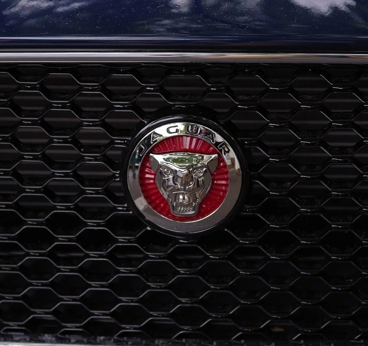 Красный значок автомобиля. Эмблемы автомобилей. Марка автомобиля с гербом. Марка автомобиля со львом. Ягуар авто логотип.