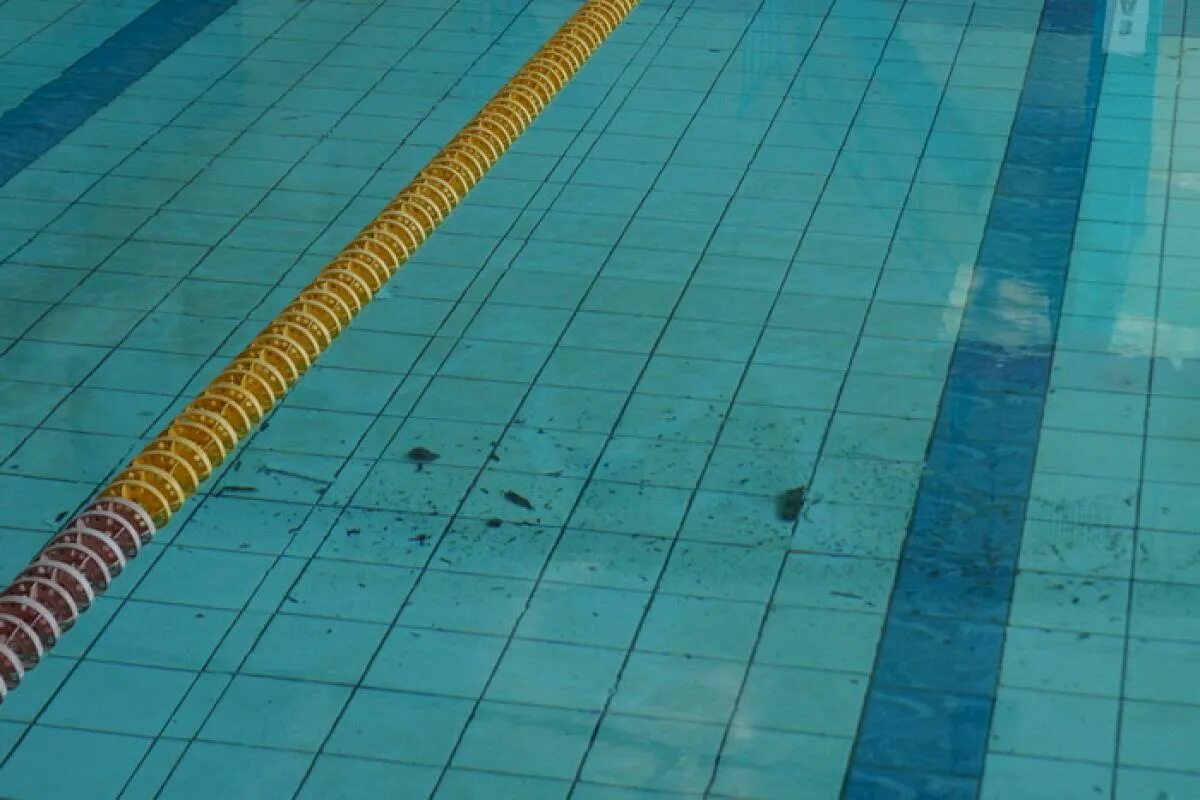 Бассейн трубная. Бассейны каркасные пластиковые. Бассейн из полипропилена. Засосало в сливную трубу бассейна. Бассейн труд томск.