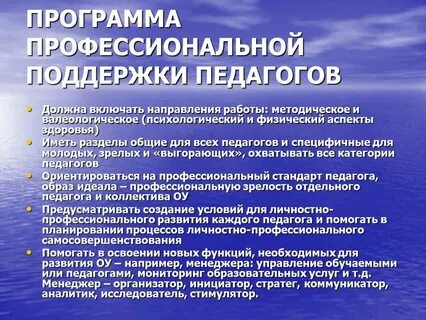 Система профессиональной поддержки