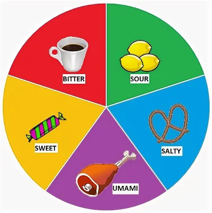 Sour taste. Sweet sour salty bitter. sweet sour salty. sweet sour bitter salty worksheets. sweet salty sour spicy bitter.
